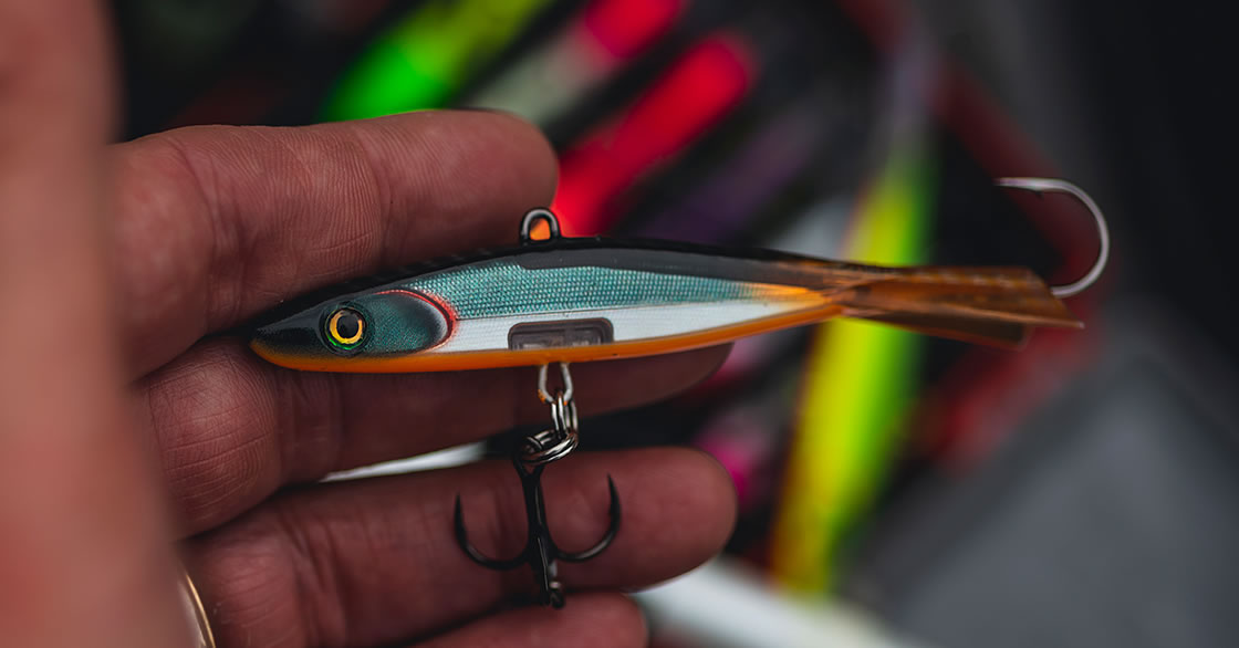 Rapala Jigging Shadow Rap Takes Center Stage, Earning Rave Reviews from Wary Walleyes
