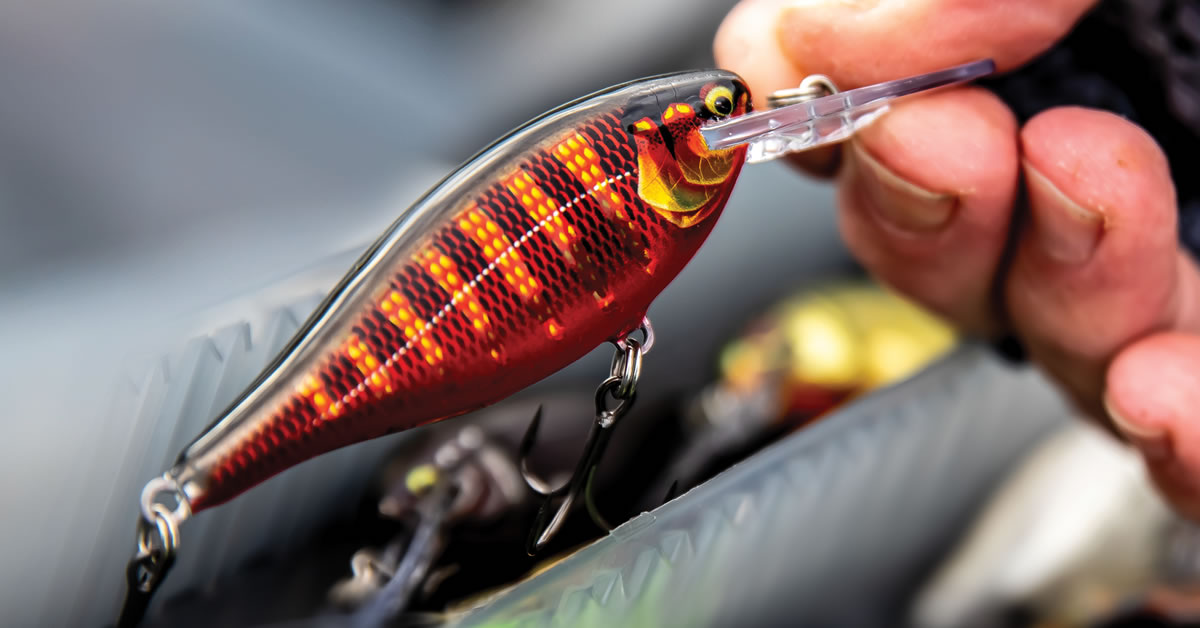 Turn Up The Power With The new Super Premium Shad Rap® Elite