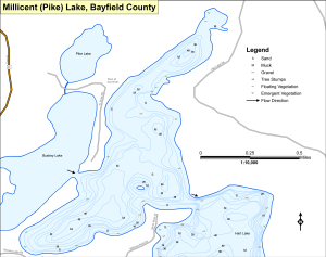 Millicent Lake (Pike) Topographical Lake Map