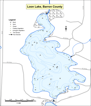Loon Lake Topographical Lake Map