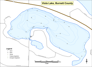 Viola Lake Topographical Lake Map
