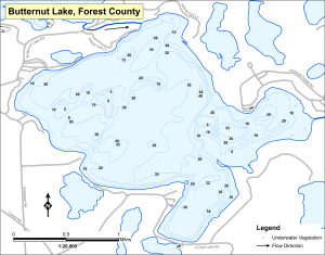 Butternut Lake Topographical Lake Map