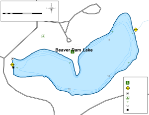 Beaver Dam Lake Topographical Lake Map