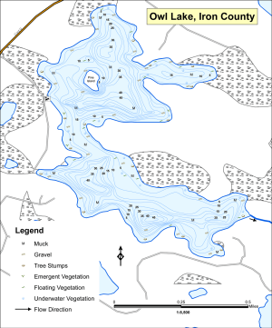 Owl Lake Topographical Lake Map