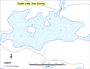Cedar Lake Topographical Lake Map