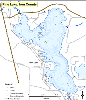 Pine Lake Topographical Lake Map