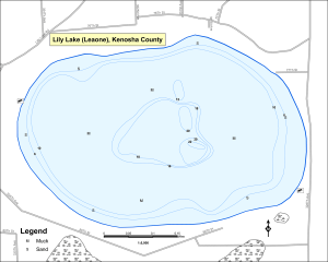 Liily Lake (Leaone) Topographical Lake Map