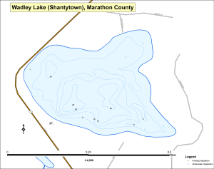 Wadley Lake (Shantytown) Topographical Lake Map