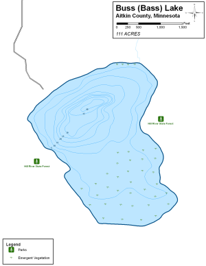 Buss Lake Topographical Lake Map