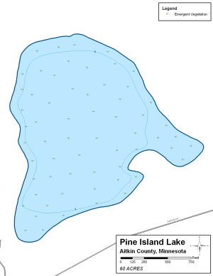 Pine Island Lake Topographical Lake Map