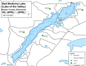Bad Medicine Lake Topographical Lake Map