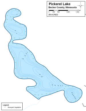 Pickerel Lake Topographical Lake Map