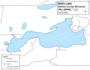 Balm Lake Topographical Lake Map