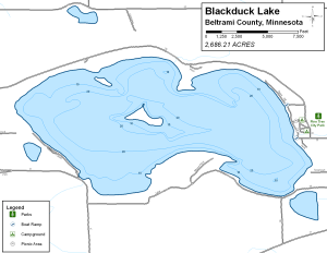 Blackduck Lake Topographical Lake Map
