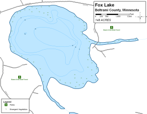 Fox Lake Topographical Lake Map
