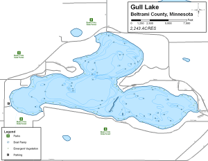 Gull Lake Topographical Lake Map