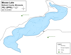 Moose Lake Topographical Lake Map