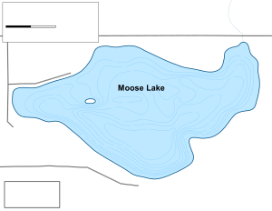 Moose Lake Topographical Lake Map