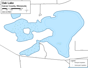 Oak Lake Topographical Lake Map