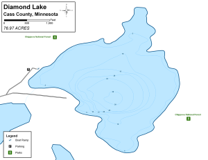 Diamond Lake Topographical Lake Map