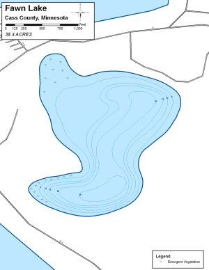 Fawn Lake Topographical Lake Map