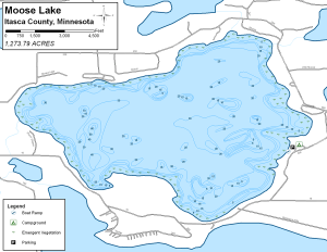 Moose Lake Topographical Lake Map