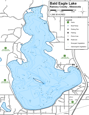 Bald Eagle Lake Topographical Lake Map
