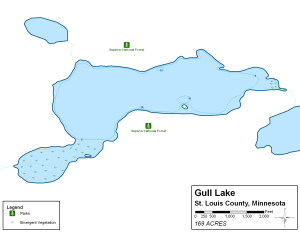 Gull Lake Topographical Lake Map