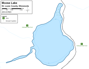 Moose Lake Topographical Lake Map