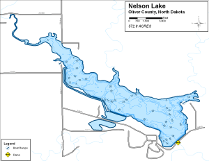 Nelson Lake Topographical Lake Map