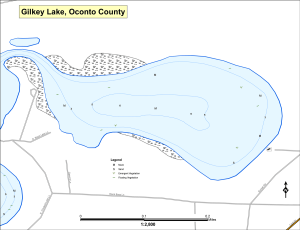 Gilkey Lake Topographical Lake Map