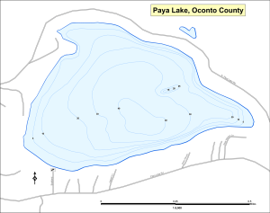 Paya Lake Topographical Lake Map