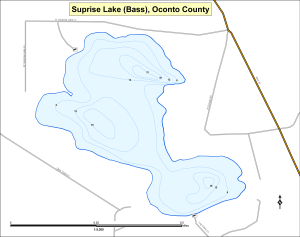 Surprise Lake (Bass) Topographical Lake Map