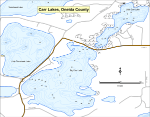 Big Carr Lake Topographical Lake Map