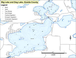 Big Lake Topographical Lake Map