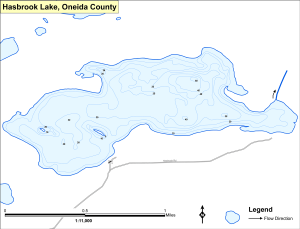 Hasbrock Lake Topographical Lake Map