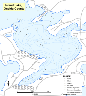 Island Lake T39NR11ES29 Topographical Lake Map