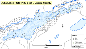 Julia Lake T38NR12ES06 Topographical Lake Map