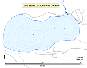 Lone Stone Lake Topographical Lake Map