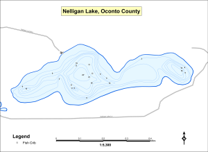 Nelligan Lake Topographical Lake Map