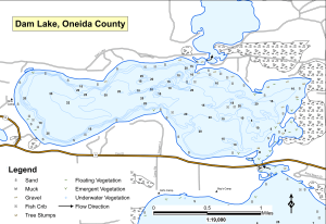 Dam Lake Topographical Lake Map