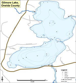 Gilmore Lake Topographical Lake Map