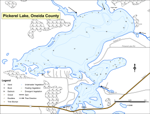 Pickerel Lake Topographical Lake Map