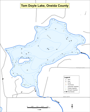 Tom Doyle Lake Topographical Lake Map
