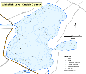 Whitefish Lake Topographical Lake Map