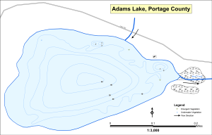 Adams Lake Topographical Lake Map