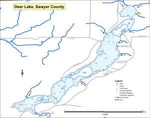 Deer Lake Topographical Lake Map