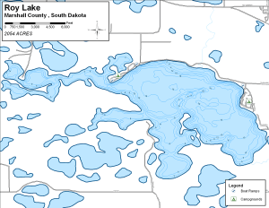 Roy Lake Topographical Lake Map