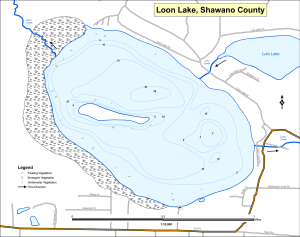 Loon Lake Topographical Lake Map