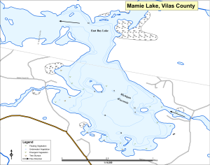 Mamie Lake Topographical Lake Map